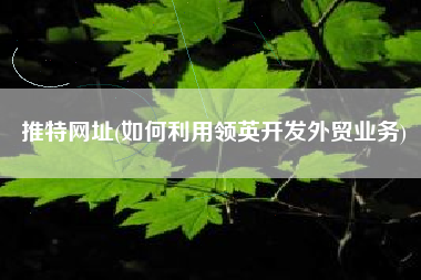 推特网址(如何利用领英开发外贸业务)