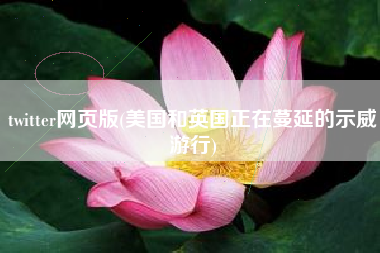 twitter网页版(美国和英国正在蔓延的示威游行)