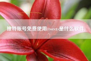 推特账号免费使用(tweets是什么软件)