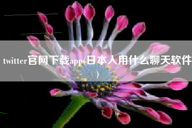 twitter官网下载app(日本人用什么聊天软件)