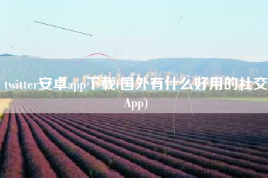 twitter安卓app下载(国外有什么好用的社交App)