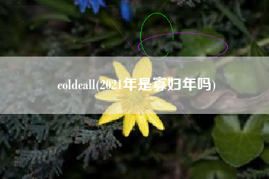 coldcall(2021年是寡妇年吗)