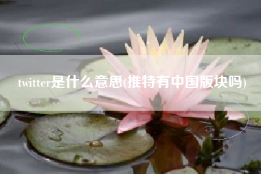 twitter是什么意思(推特有中国版块吗)