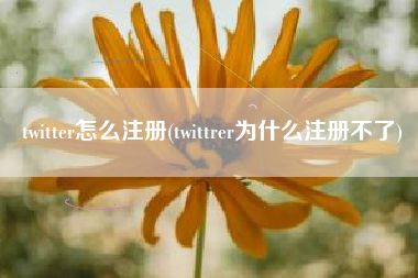 twitter怎么注册(twittrer为什么注册不了)