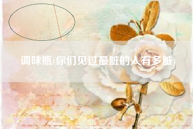 调味瓶(你们见过最脏的人有多脏)