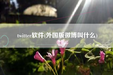 twitter软件(外国版微博叫什么)
