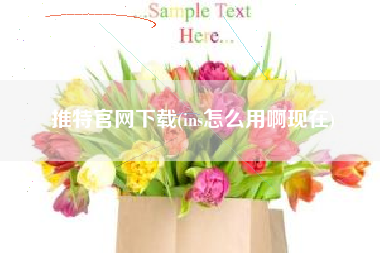 推特官网下载(ins怎么用啊现在)