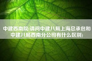 中建西南院(请问中建八局上海总承包和中建八局西南分公司有什么区别)