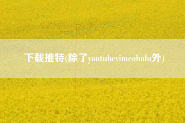 下载推特(除了youtubevimeohulu外)