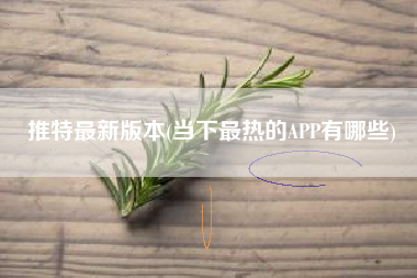 推特最新版本(当下最热的APP有哪些)