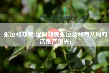 张恒和郑爽(疑似郑爽张恒及双方父母对话录音曝光)