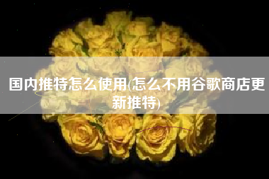 国内推特怎么使用(怎么不用谷歌商店更新推特)