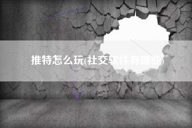 推特怎么玩(社交软件有哪些)