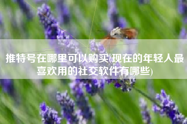 推特号在哪里可以购买(现在的年轻人最喜欢用的社交软件有哪些)