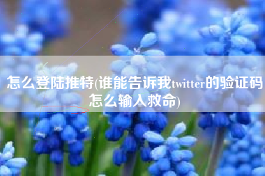 怎么登陆推特(谁能告诉我twitter的验证码怎么输入救命)