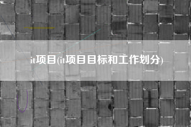 it项目(it项目目标和工作划分)
