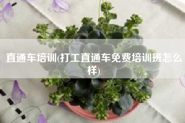 直通车培训(打工直通车免费培训班怎么样)
