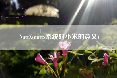 NuttX(nuttx系统对小米的意义)