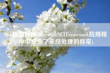 web应用程序(MicrosoftNETFramework应用程序中发生了未经处理的异常)