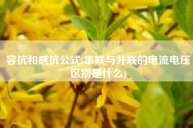 容抗和感抗公式(串联与并联的电流电压区别是什么)