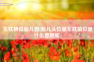 左枕横位胎儿图(胎儿头位是左枕前位是什么意思呢)