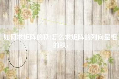 如何求矩阵的秩(怎么求矩阵的列向量组的秩)