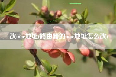 改mac地址(路由器的mac地址怎么改)