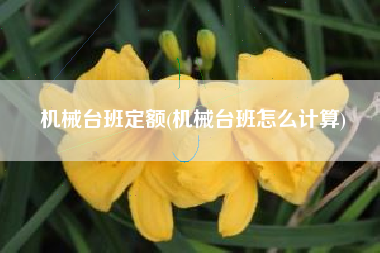 机械台班定额(机械台班怎么计算)