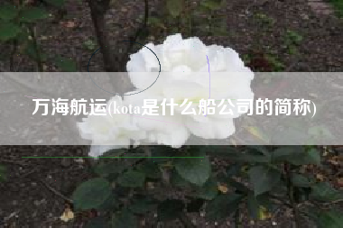万海航运(kota是什么船公司的简称)