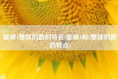 能被4整除的数的特征(能被4和5整除的数的特点)