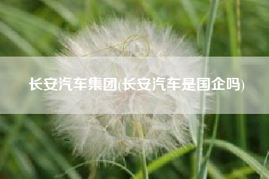 长安汽车集团(长安汽车是国企吗)