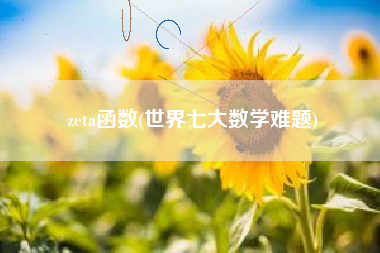 zeta函数(世界七大数学难题)