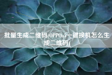 批量生成二维码(OPPOa5一键换机怎么生成二维码)