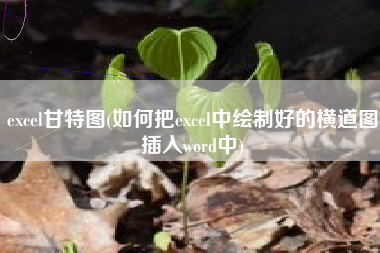 excel甘特图(如何把excel中绘制好的横道图插入word中)