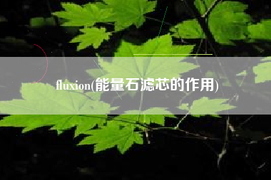fluxion(能量石滤芯的作用)