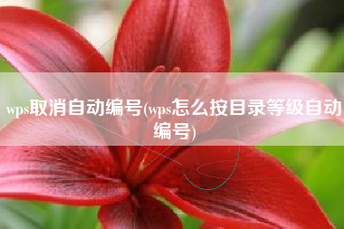 wps取消自动编号(wps怎么按目录等级自动编号)
