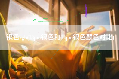 银色rgb(13pm银色和14pm银色颜色对比)