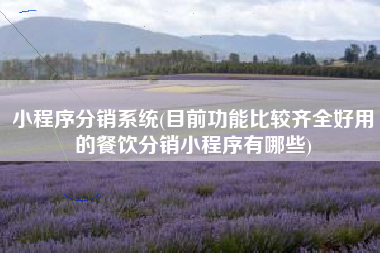 小程序分销系统(目前功能比较齐全好用的餐饮分销小程序有哪些)