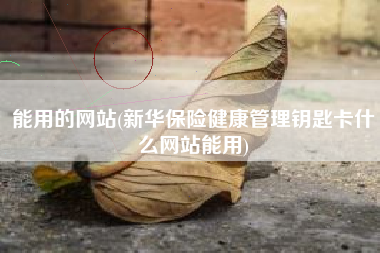 能用的网站(新华保险健康管理钥匙卡什么网站能用)