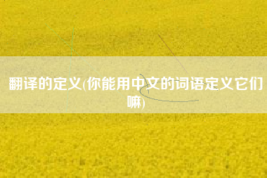 翻译的定义(你能用中文的词语定义它们嘛)