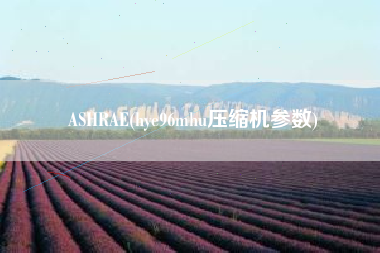 ASHRAE(hye96mhu压缩机参数) ASHRAE(hye96mhu压缩机参数)