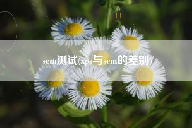 sem测试(xps与sem的差别)