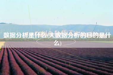 数据分析是什么(大数据分析的目的是什么)