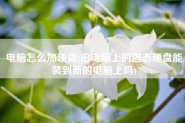 电脑怎么加硬盘(旧电脑上的固态硬盘能装到新的电脑上吗)