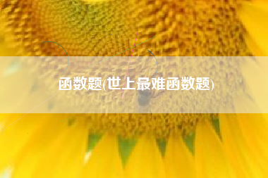 函数题(世上最难函数题)