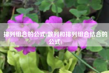 排列组合的公式(数列和排列组合结合的公式)