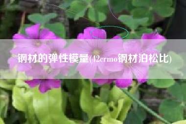 钢材的弹性模量(42crmo钢材泊松比)