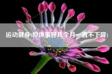 运动健身(但体重好几个月一直不下降)
