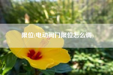 限位(电动阀门限位怎么调)