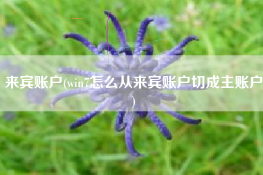 来宾账户(win7怎么从来宾账户切成主账户)